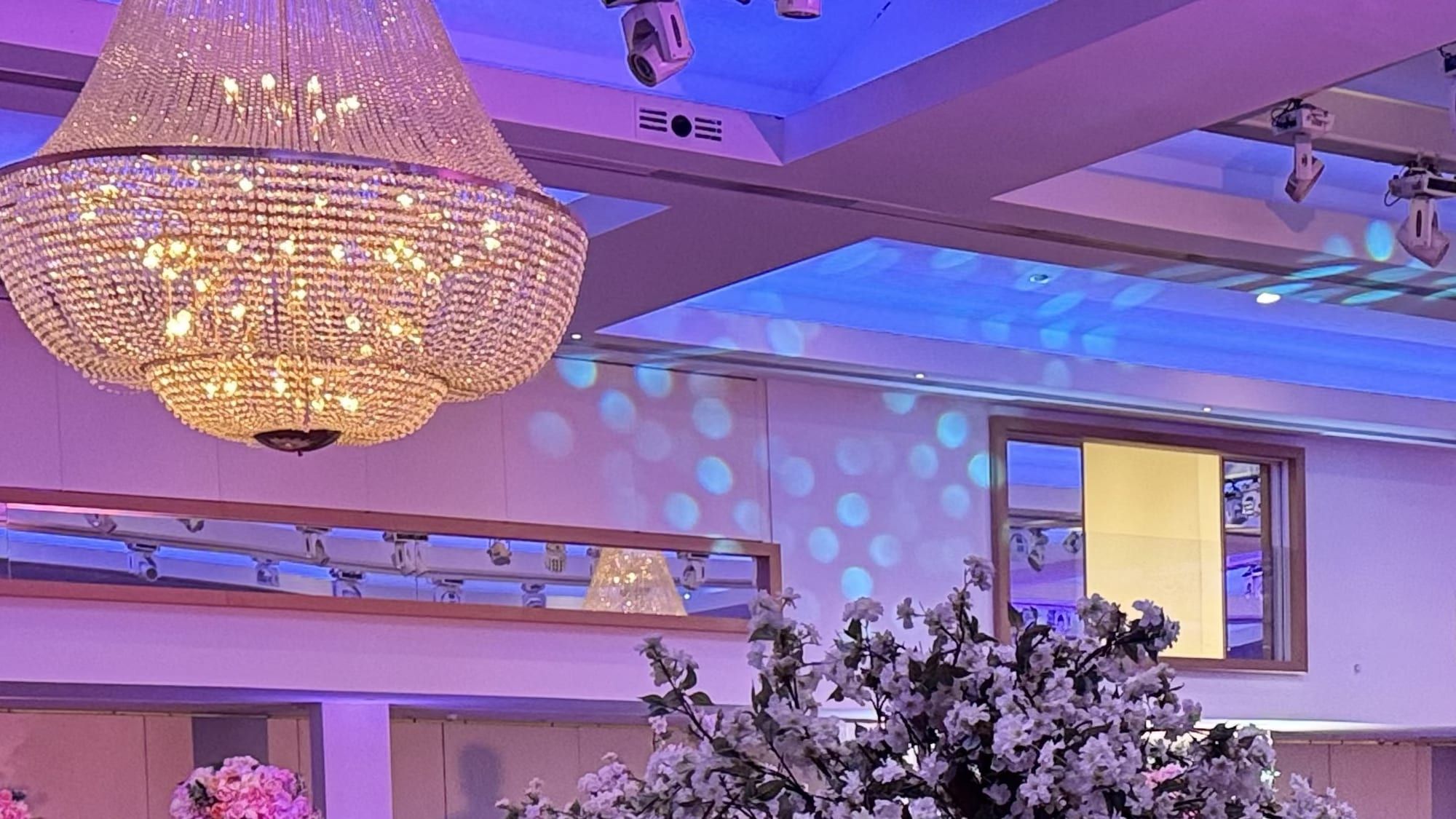 A banqueting room dressed for a reception, a tall blossom tree centrepiece over round tables under lilac uplighting